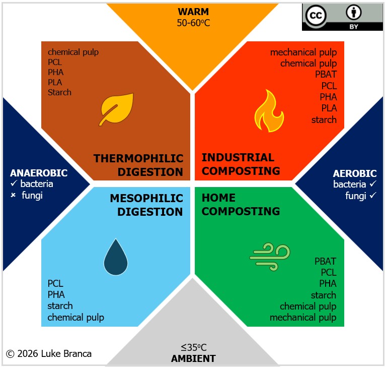 biodegradation figure