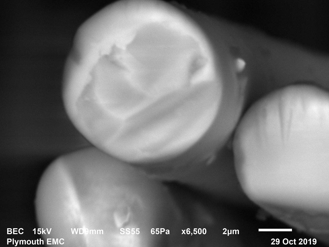 electron micrograph